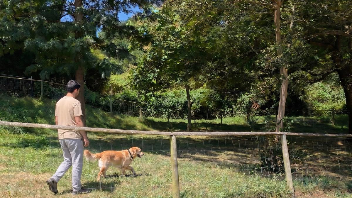 Zona canina en Zarautz.