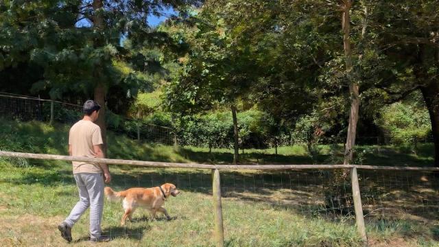 Zona canina en Zarautz.