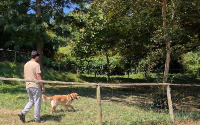 Zona canina en Zarautz.