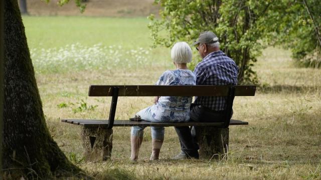 La pensión media del sistema en el Estado español se ha situado en 1.372,2 euros mensuales, un 4,6 % más que en julio de 2025.