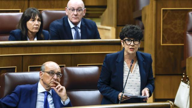 La portavoz del PNV en el Congreso, Maribel Vaquero, este miércoles en su pregunta a Sánchez