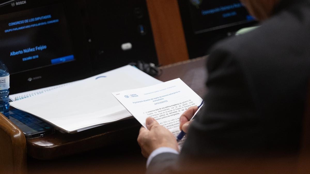 El presidente del Partido Popular, Alberto Núñez Feijóo, durante una sesión plenaria en el Congreso.