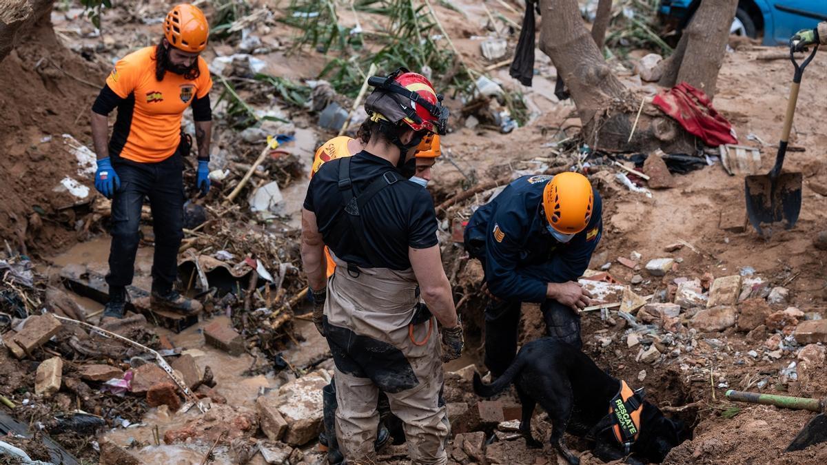 Búsqueda de víctimas en una zona afectada por la DANA