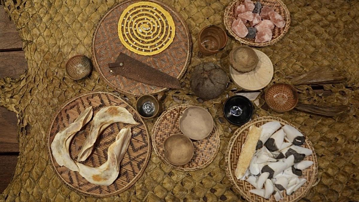 Proyecto La Patarashca, en la Amazonía peruana.