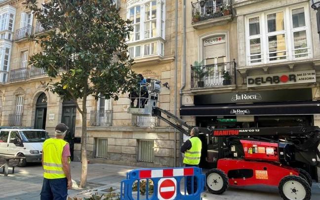 Gasteizko Udala Dato kaleko zuhaitzak inausten hasi da, kaleari argitasun eta ikuspen handiagoa emateko.