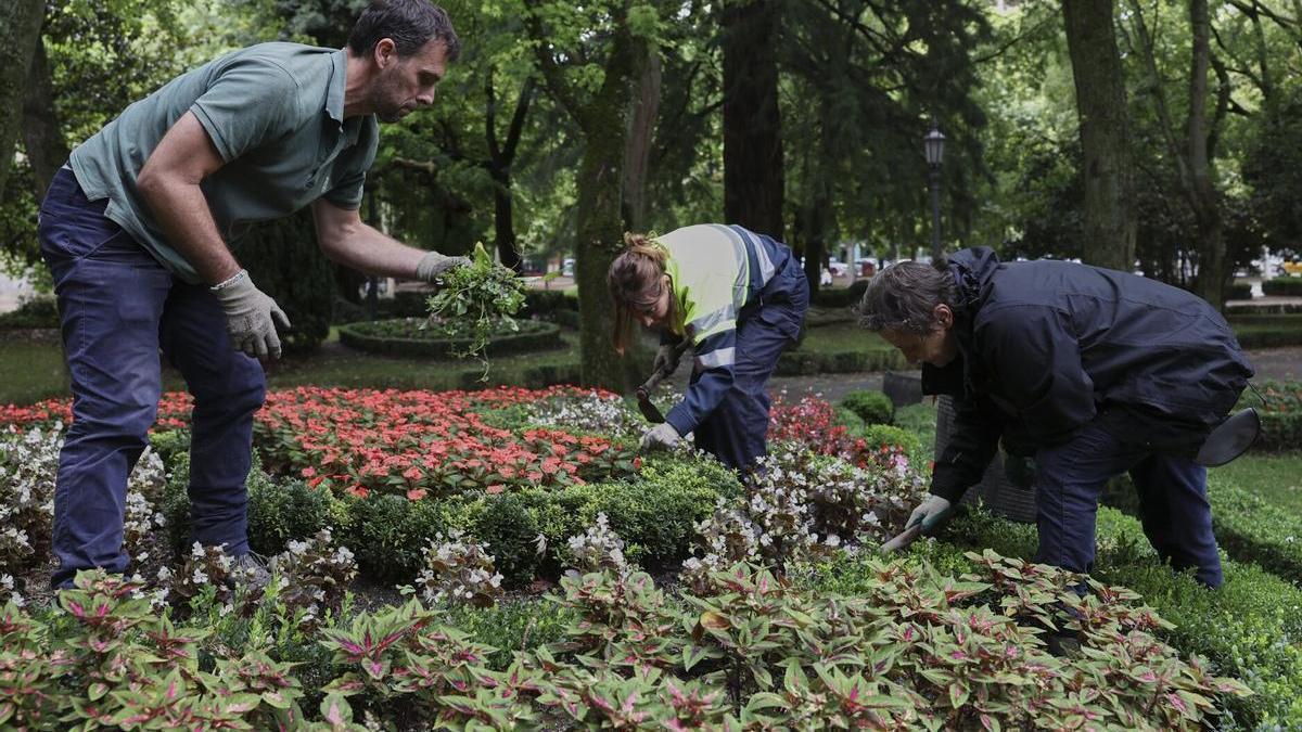 Los peones contratados tendrán las labores de jardinería entre sus funciones.