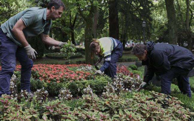 Los peones contratados tendrán las labores de jardinería entre sus funciones.