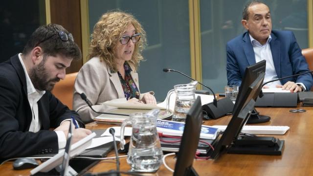 La consejera de Movilidad Sostenible, Susana García Chueca,