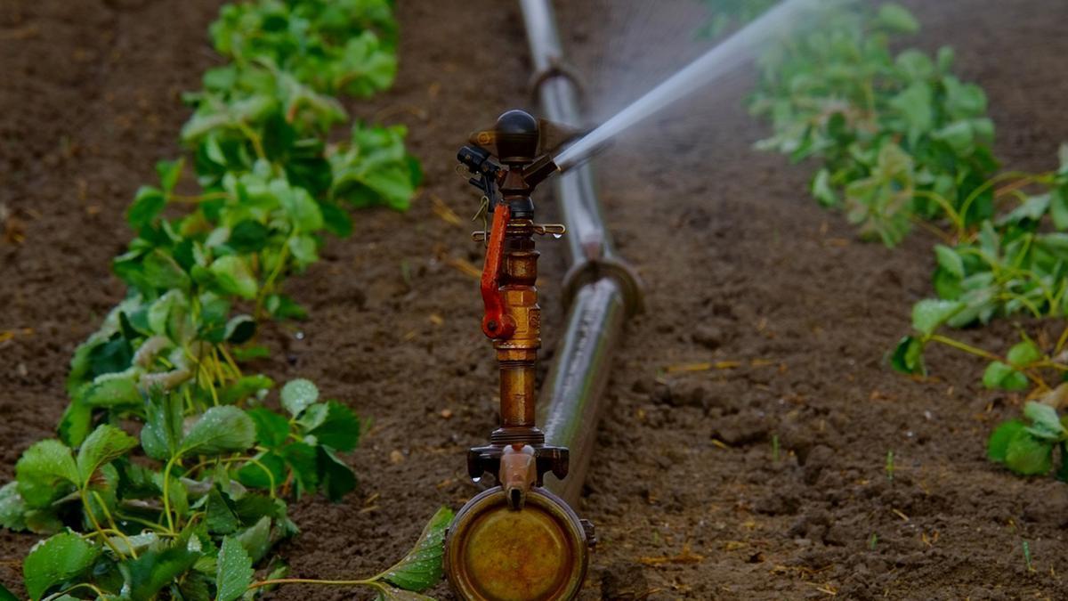 La agricultura, ganadería, silvicultura y pesca y la construcción han aumentado su contribución al VAB ambiental total entre 2015 y 2024.
