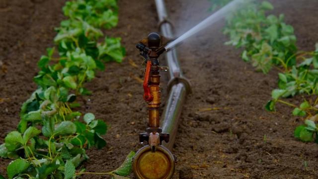 La agricultura, ganadería, silvicultura y pesca y la construcción han aumentado su contribución al VAB ambiental total entre 2015 y 2024.
