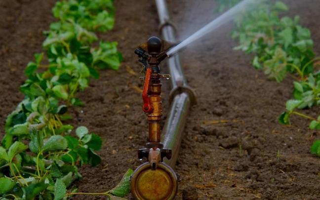 La agricultura, ganadería, silvicultura y pesca y la construcción han aumentado su contribución al VAB ambiental total entre 2015 y 2024.