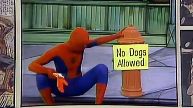 Danny Seagren, reconocido por ser el primer actor que encarnó a Spider-Man en imagen real, ha fallecido a los 81 años.