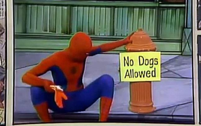 Danny Seagren, reconocido por ser el primer actor que encarnó a Spider-Man en imagen real, ha fallecido a los 81 años.