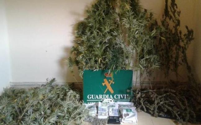 Marihuana incautada al acusado en Tierra Estella. Marihuana incautada al acusado en Tierra Estella.