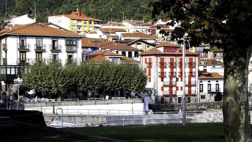 El Ayuntamiento pide colaboración ciudadana contra la proliferación de palomas.