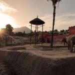 Elefantas durante el eclipse solar en Terra Natura Benidorm.