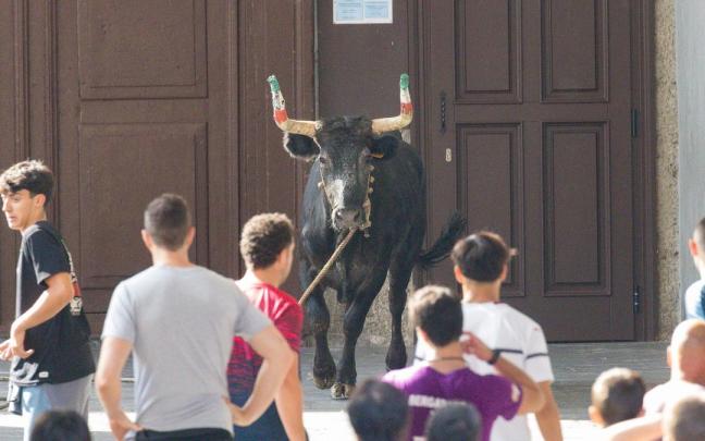 Los colectivos animalistas quieren evitar que la sokamuturra vuelva a estar presente en el programa de San Juan.