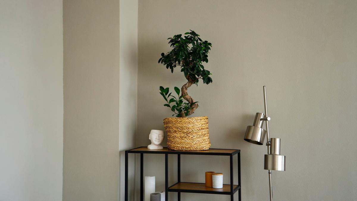 Una pequeña estantería colocada en un rincón.