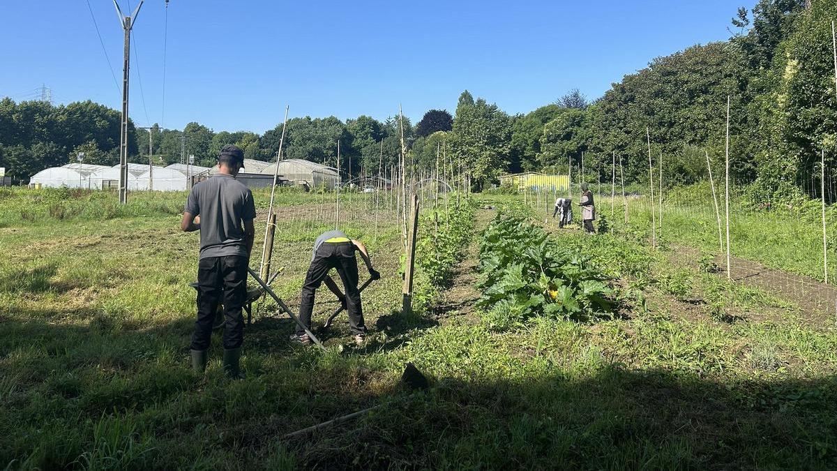 Participantes en las huertas de Karabeleko.