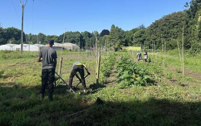 Participantes en las huertas de Karabeleko.