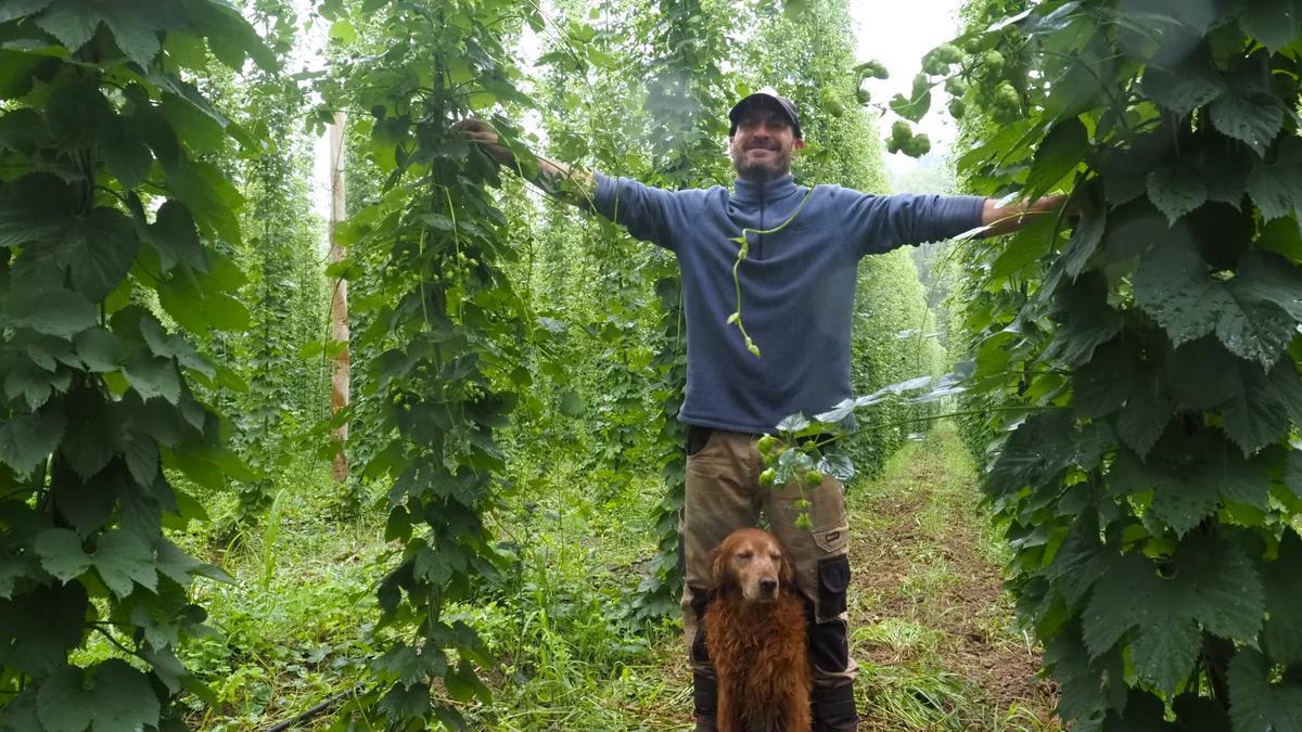 Asier Plazaola y su inseparable compañero 'Pepe', flanqueados por las plantas de lúpulo que crecen en su explotación de Azkoitia.