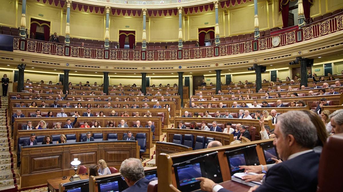 Vista general de los diputados durante una votación en una sesión plenaria en la Cámara Baja.