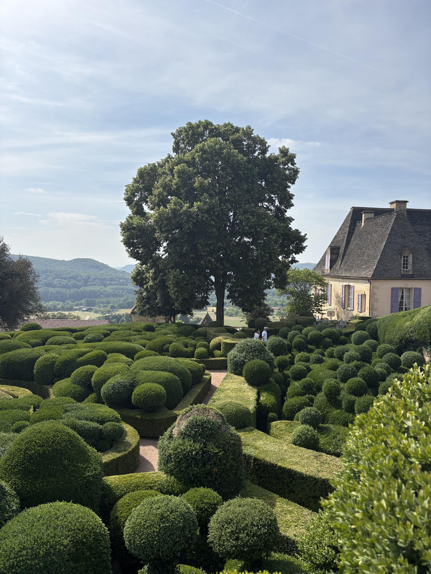 Bojes centenarios podados a mano en los Jardines de Marqueyssac.