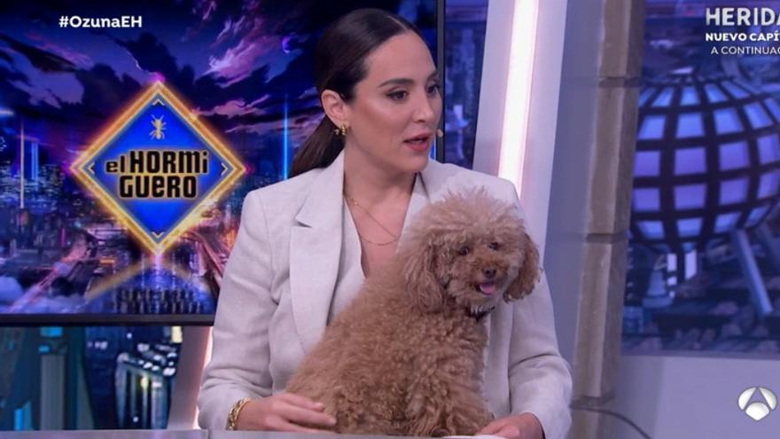 Tamara Falcó, en 'El Hormiguero' con su perra 'Jacinta'.