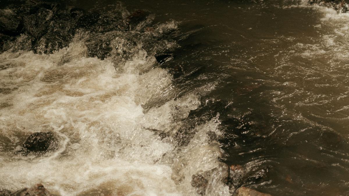 El programa propone distintas maneras de mirar a los ecosistemas fluviales.