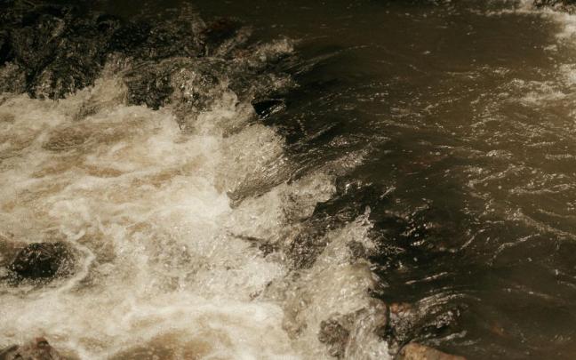 El programa propone distintas maneras de mirar a los ecosistemas fluviales.