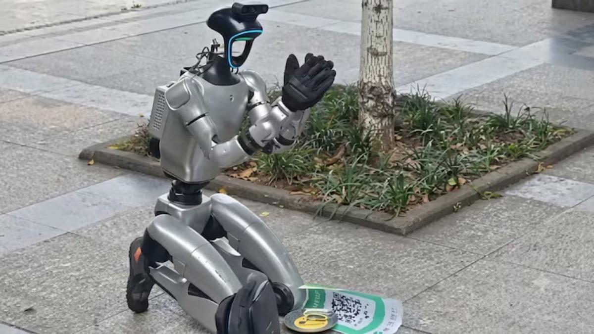 Imagen de uno de los robots mendigos visto en China