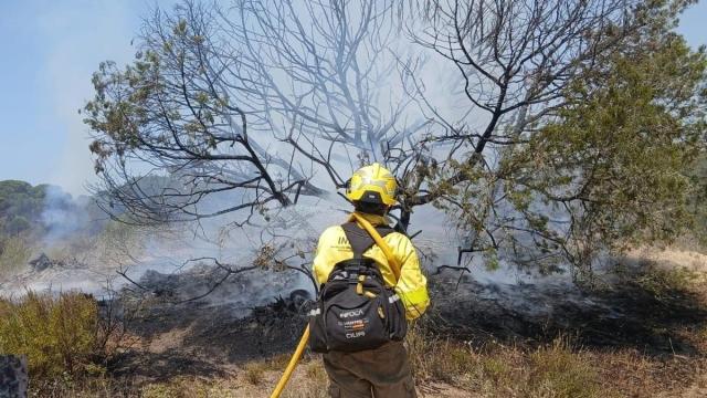 Bombero forestal trabajando para extinguir el incendio en Doñana