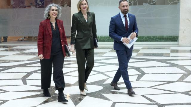 La iniciativa ha sido tratada este martes en el Consejo de Gobierno.