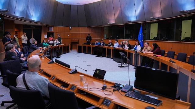 Los representantes de las tres principales asociaciones de víctimas de la dana en Bruselas. / EP Los representantes de las tres principales asociaciones de víctimas de la dana en Bruselas.