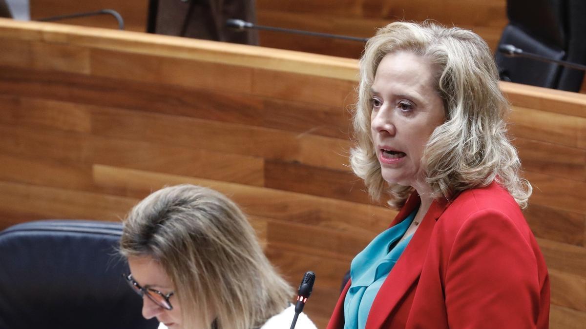 La ya exconsejera asturiana de Transición Ecológica, Industria y Comercio, Belarmina Díaz, en una foto de archivo.