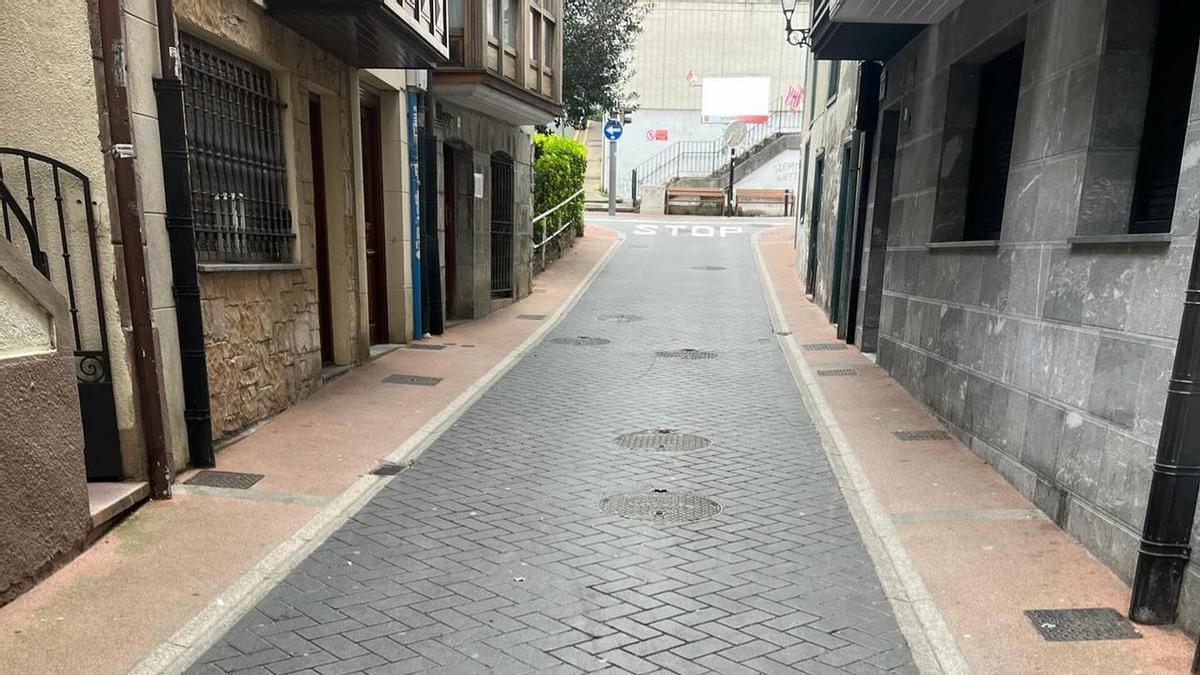 El Ayuntamiento y Gobierno vasco continuarán con los controles de viviendas turísticas