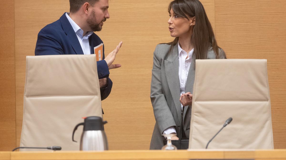 La exdirectora del Centro Residencial SAVIA Paiporta, Inés Talaya Armero.