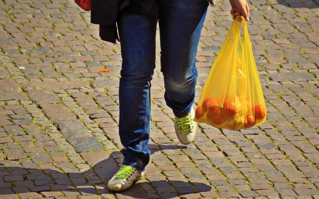 Una persona pasea con la bolsa de la compra