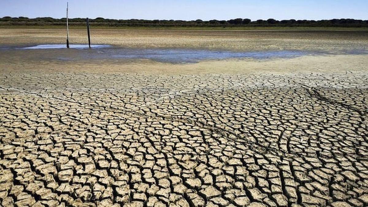 Las precipitaciones de los últimos 40 años han sido también muy inferiores a la media.