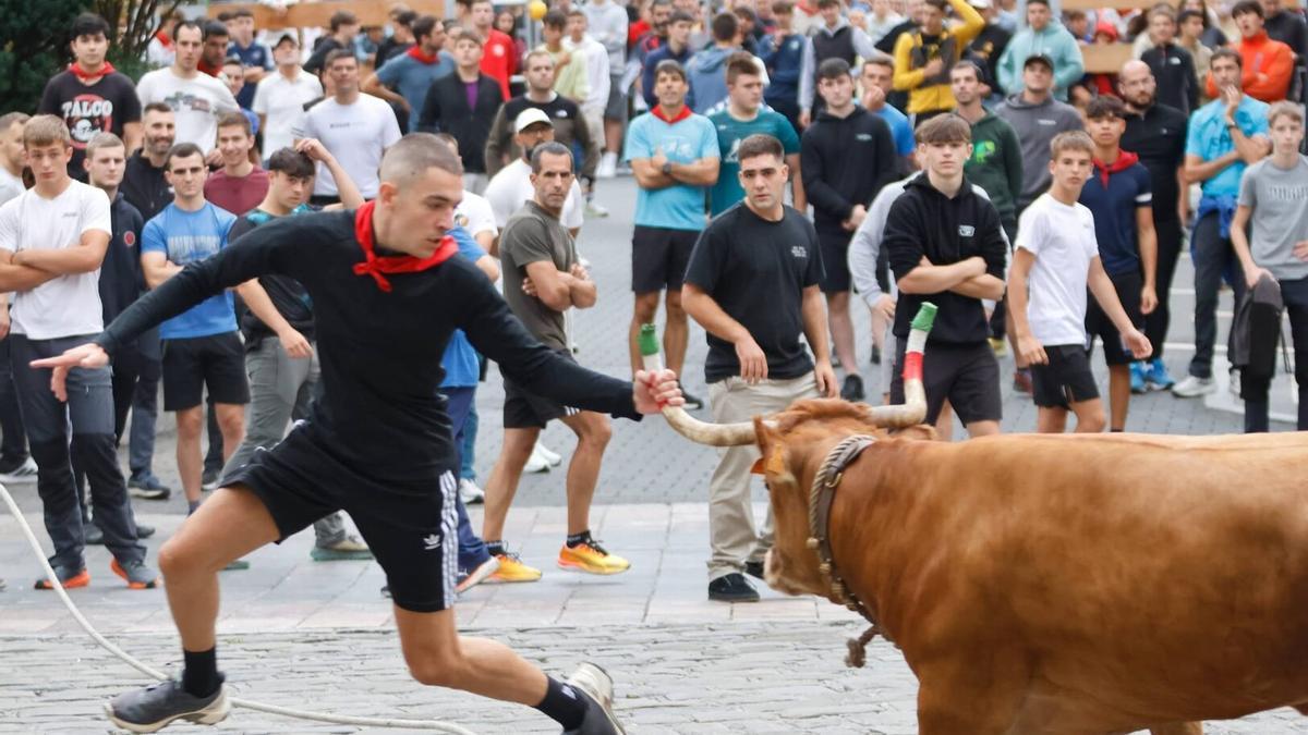Las sokamuturras volvieron a despertar una gran expectación.