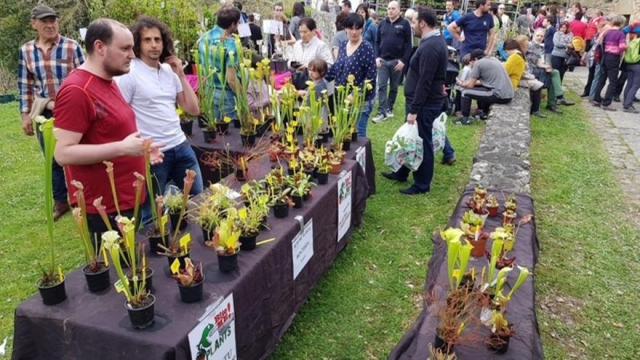 Azoka datorren igandean ospatuko da