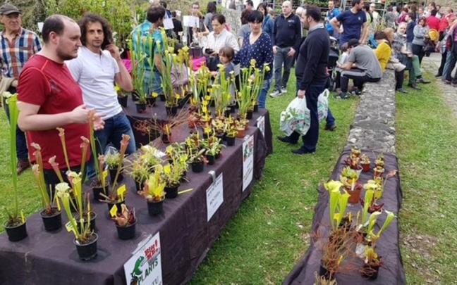 Azoka datorren igandean ospatuko da