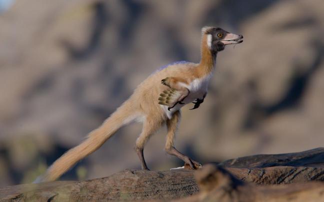 Este dinosaurio tenía muchos dientes y una visión y audición agudas.
