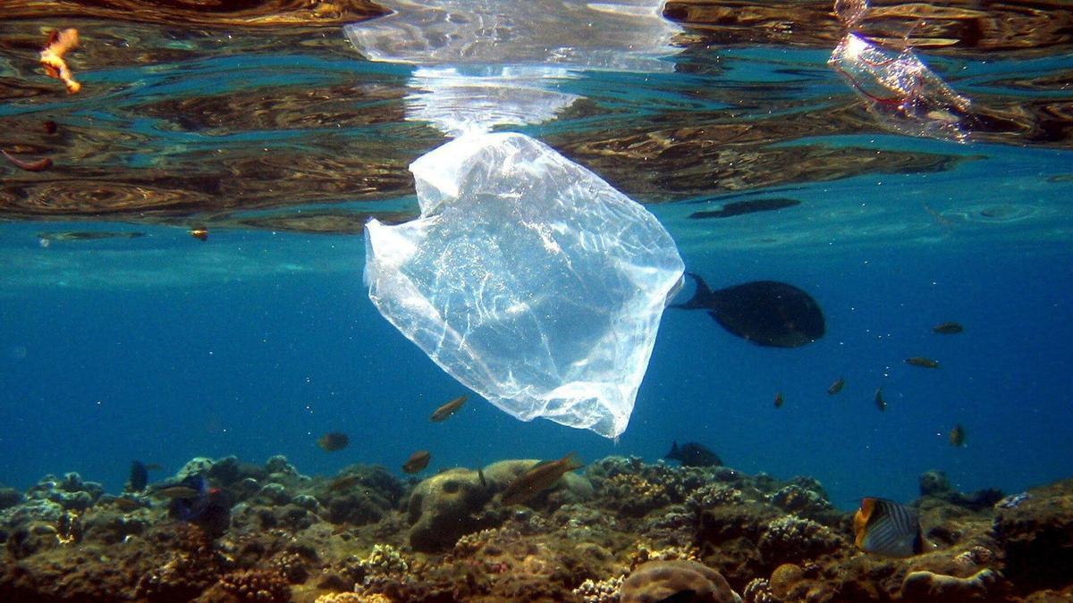 Los plásticos arrojados al mar son un factor clave en la contaminación de los mares.