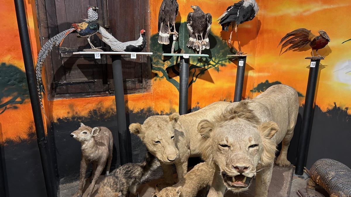 Más de 2.000 visitantes pasaron el pasado 2025 por Hontza Museoa