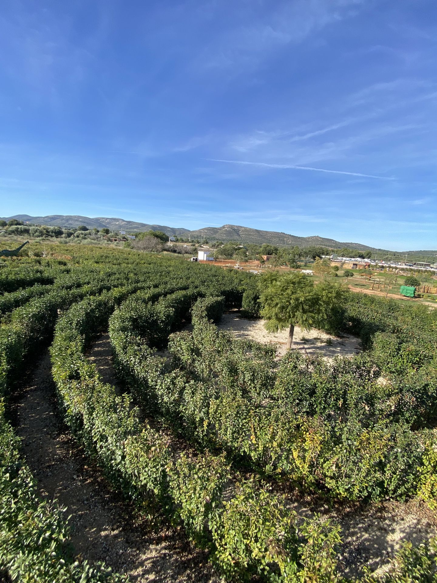 Vista parcial del laberinto.
