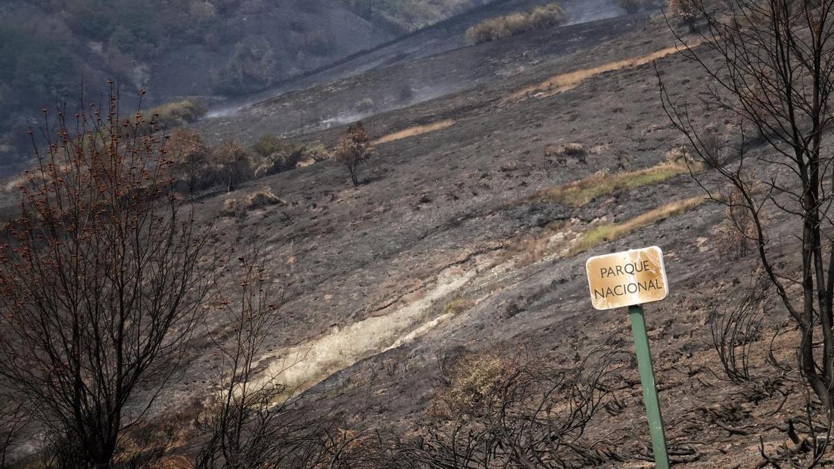 Vista de un incendio en la vertiente leonesa de Picos de Europa.