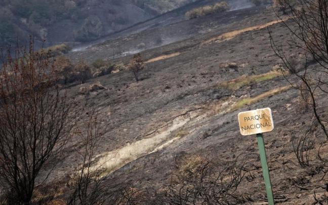 Vista de un incendio en la vertiente leonesa de Picos de Europa.