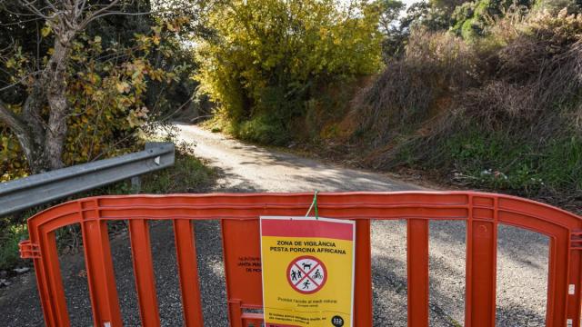Una de las zonas delimitadas en el epicentro del brote de peste porcina africana en Catalunya
