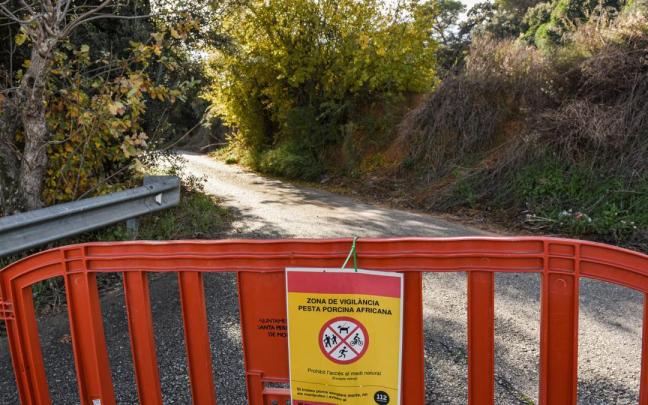 Una de las zonas delimitadas en el epicentro del brote de peste porcina africana en Catalunya